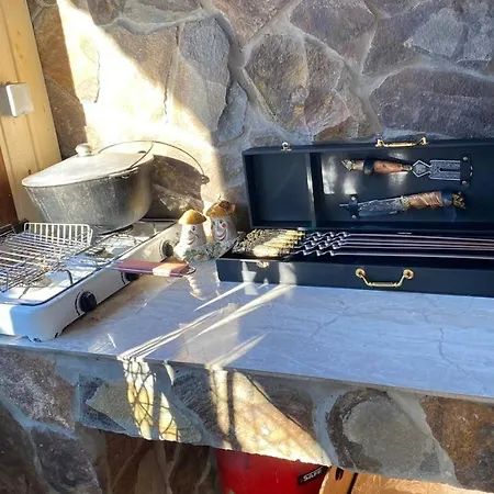 فيلة Five House Skhidnytsia